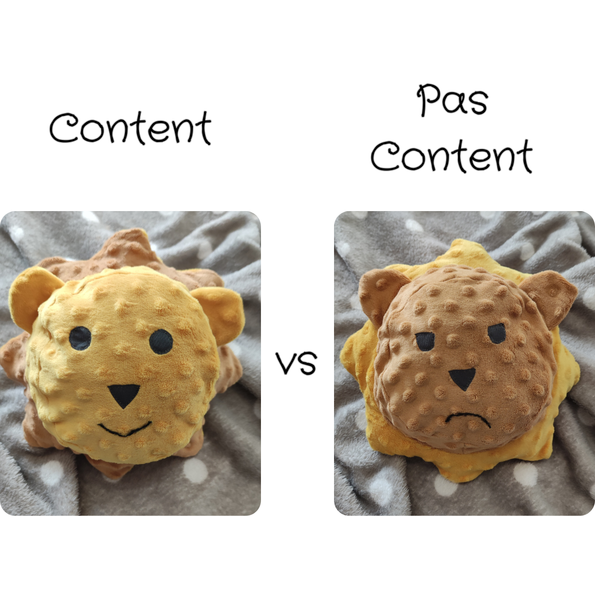 accessoire : doudou des émotions, réversible, lion